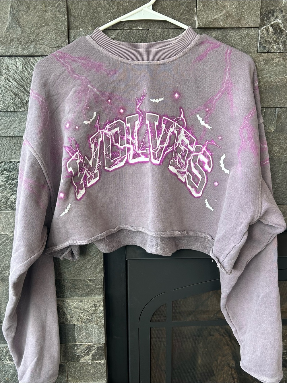 RARE!! Darc Sport x Batman Cropped Sweatshirt